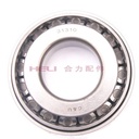 Z-31310_2-B.jpg
